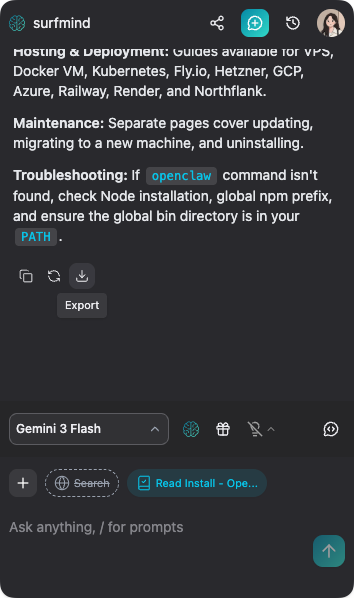 SurfMind export button